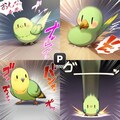 荒ぶるインコ 3枚目