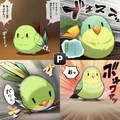 荒ぶるインコ 2枚目