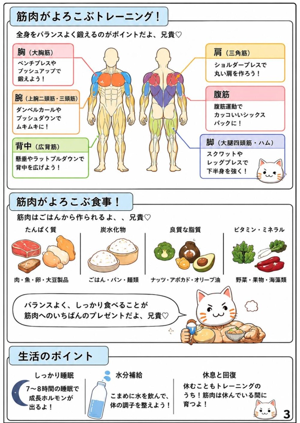 筋肉が解説する筋肉の学習漫画