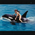 シャチに乗った少女 3枚目