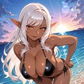 ビーチのダークエルフさん　その２ 4枚目