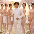 一夫多妻婚　桜2025 2枚目