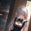 酔いどれエルフ 11枚目