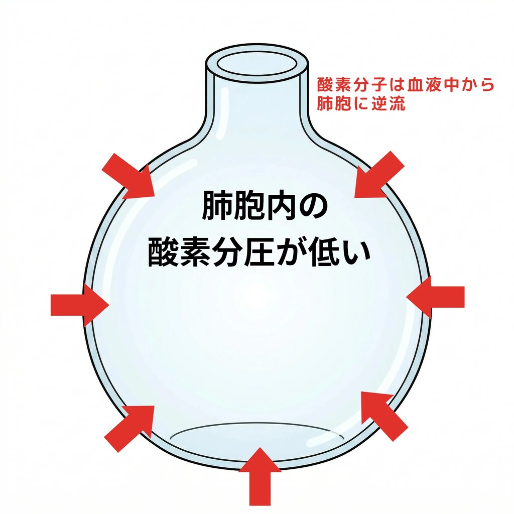 Dive #146 シャローウォーターブラックアウトその後