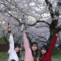 🌸👀🍻 2枚目