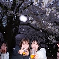 🌸👀🍻 5枚目