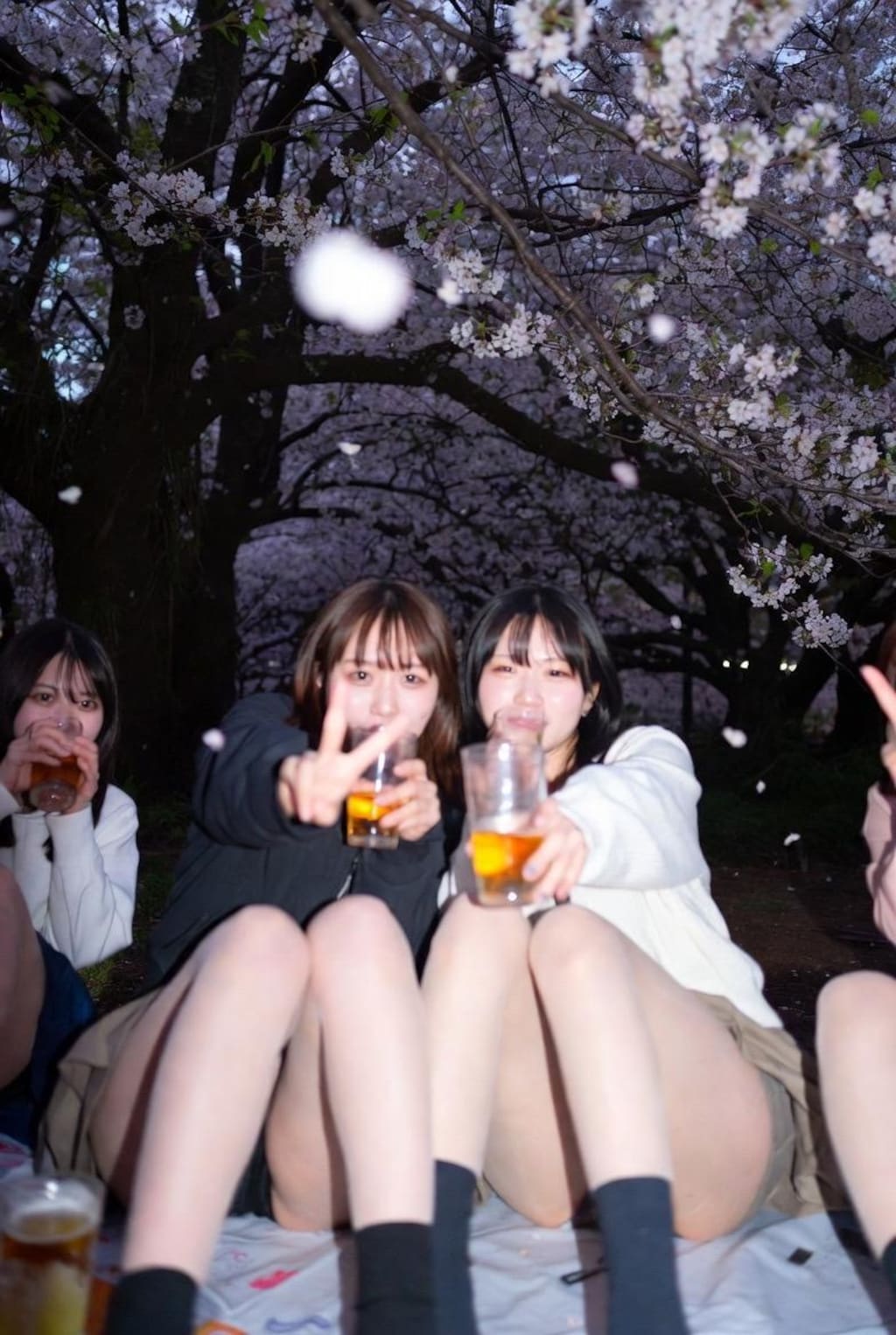 🌸👀🍻