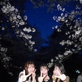 🌸👀🍻 3枚目