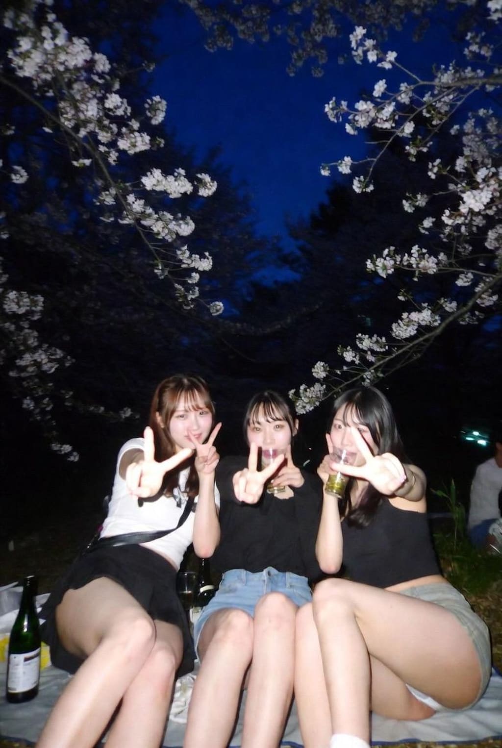 🌸👀🍻
