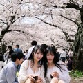 🌸👀🍻 9枚目