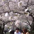 🌸👀🍻 11枚目