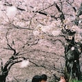 🌸👀🍻 8枚目