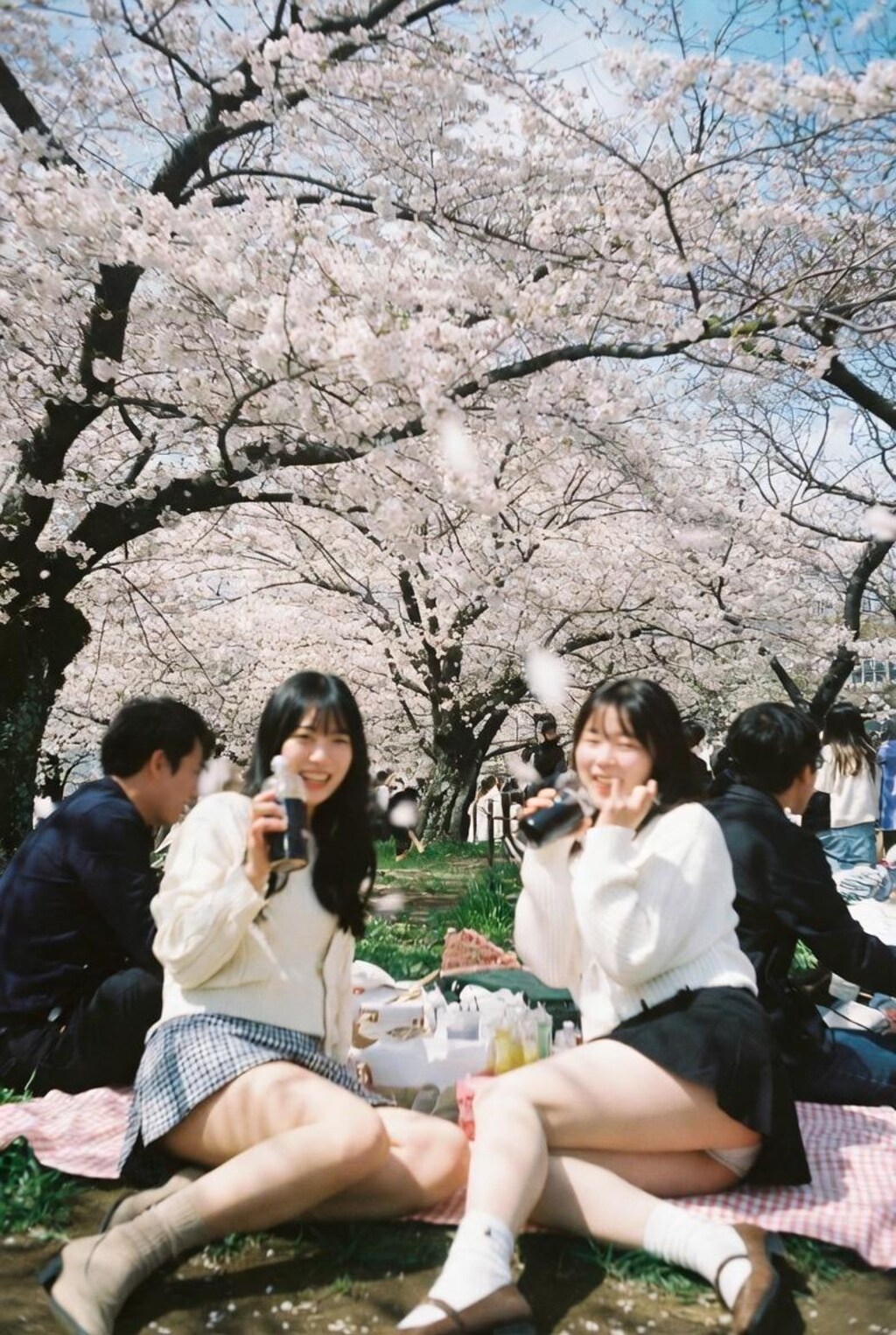 🌸👀🍻