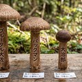 アイラとパイニャンによるベアクロウ産の茸の解説🍄‍🟫 2枚目