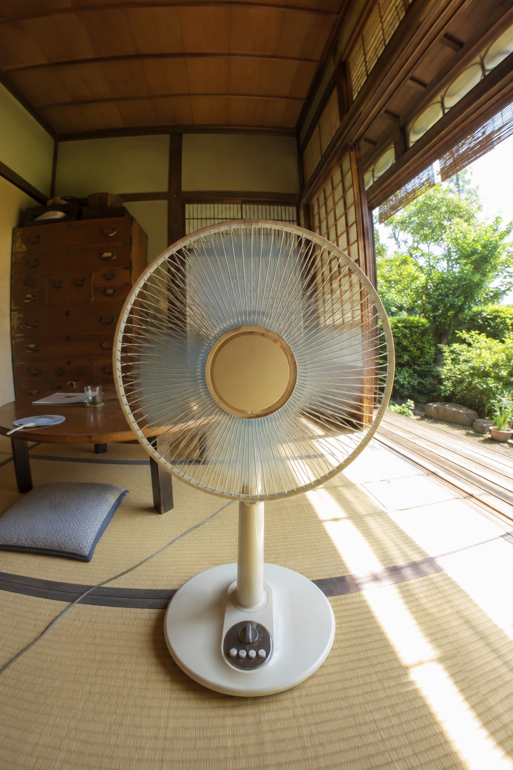 夏