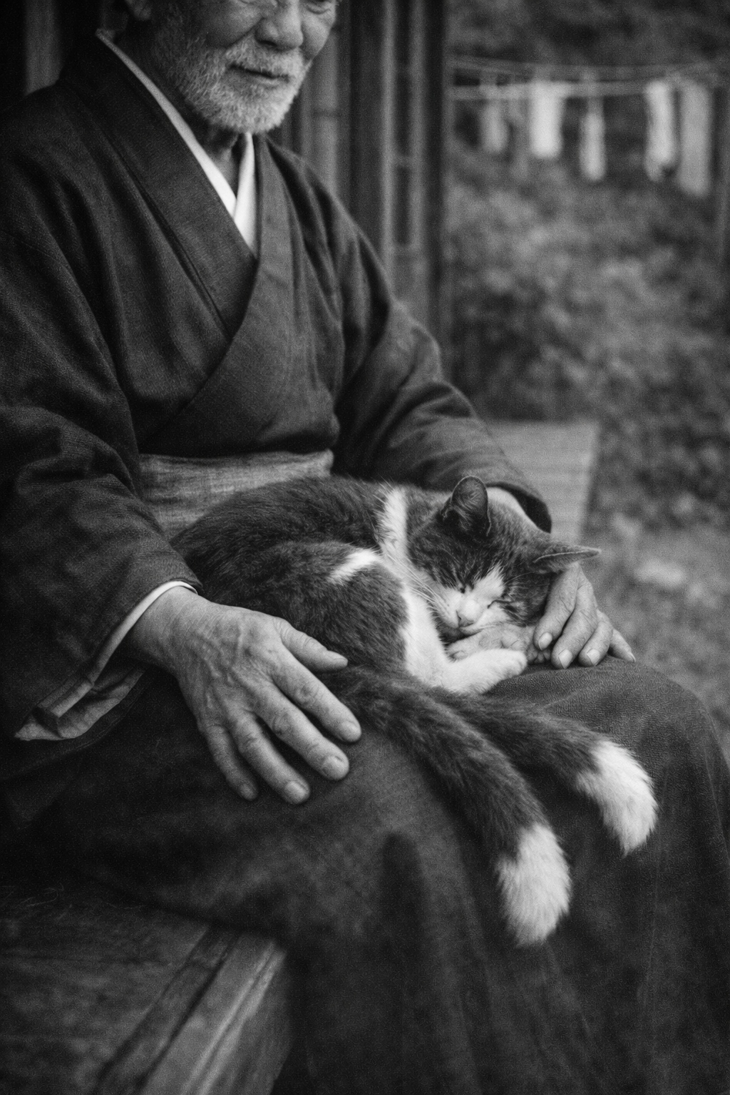 猫又のいる日常