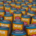 Every "SPAM" is sacred 4枚目