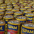 Every "SPAM" is sacred 3枚目