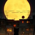 ネコと満月 2枚目