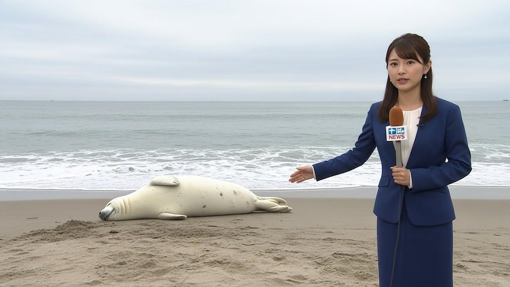 現場から生中継！