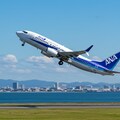 全日空機 4枚目