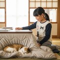 こたつと猫と女の子 2枚目