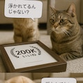いぬとねこといんこ31(200Kいいねありがとー画像３) 8枚目