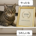 いぬとねこといんこ31(200Kいいねありがとー画像３) 4枚目