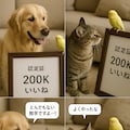 いぬとねこといんこ31(200Kいいねありがとー画像３) 2枚目