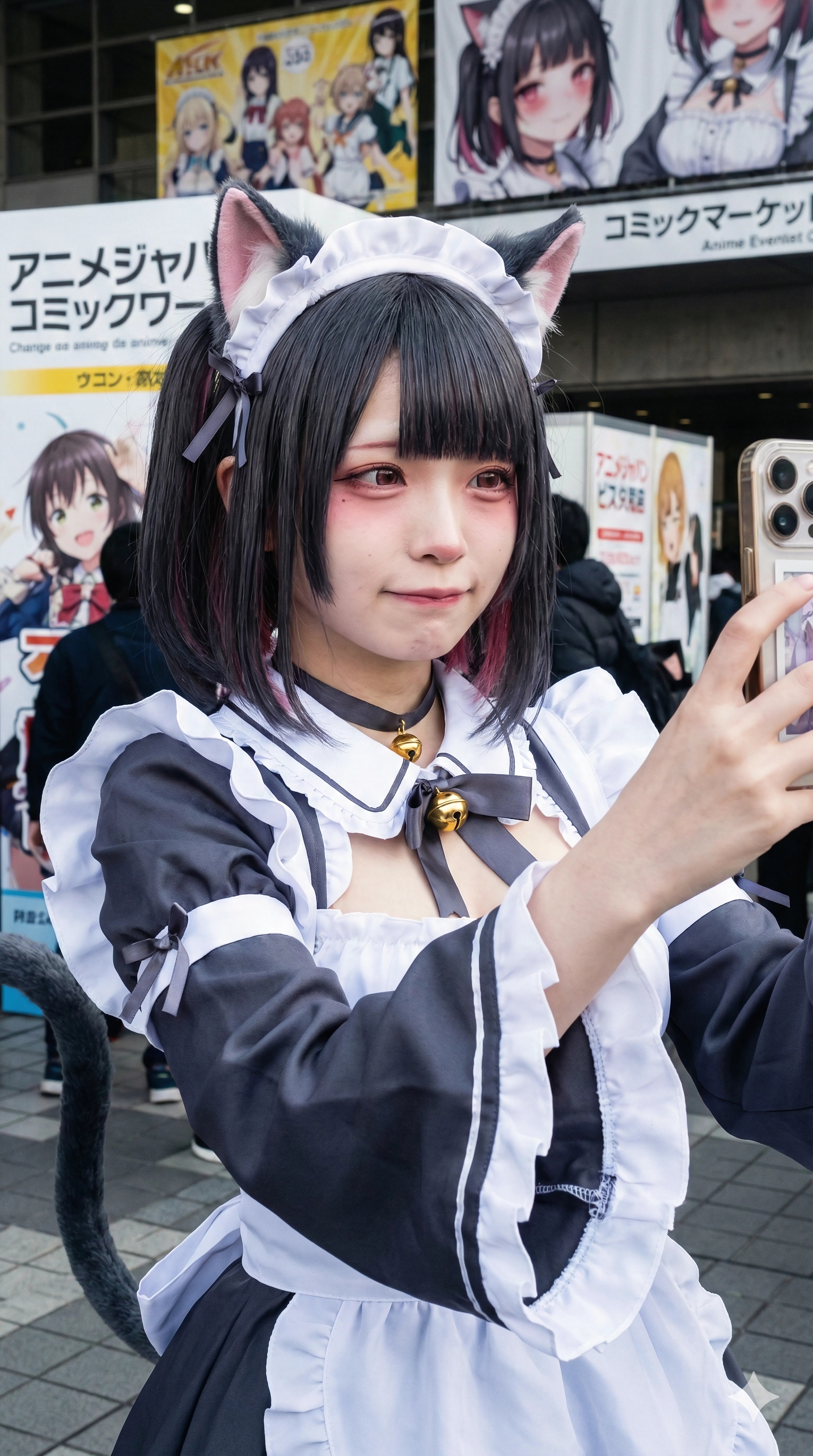 Stage of the Feline Maid
