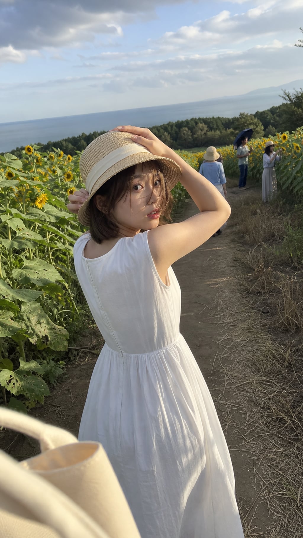 Following the Sunflowers