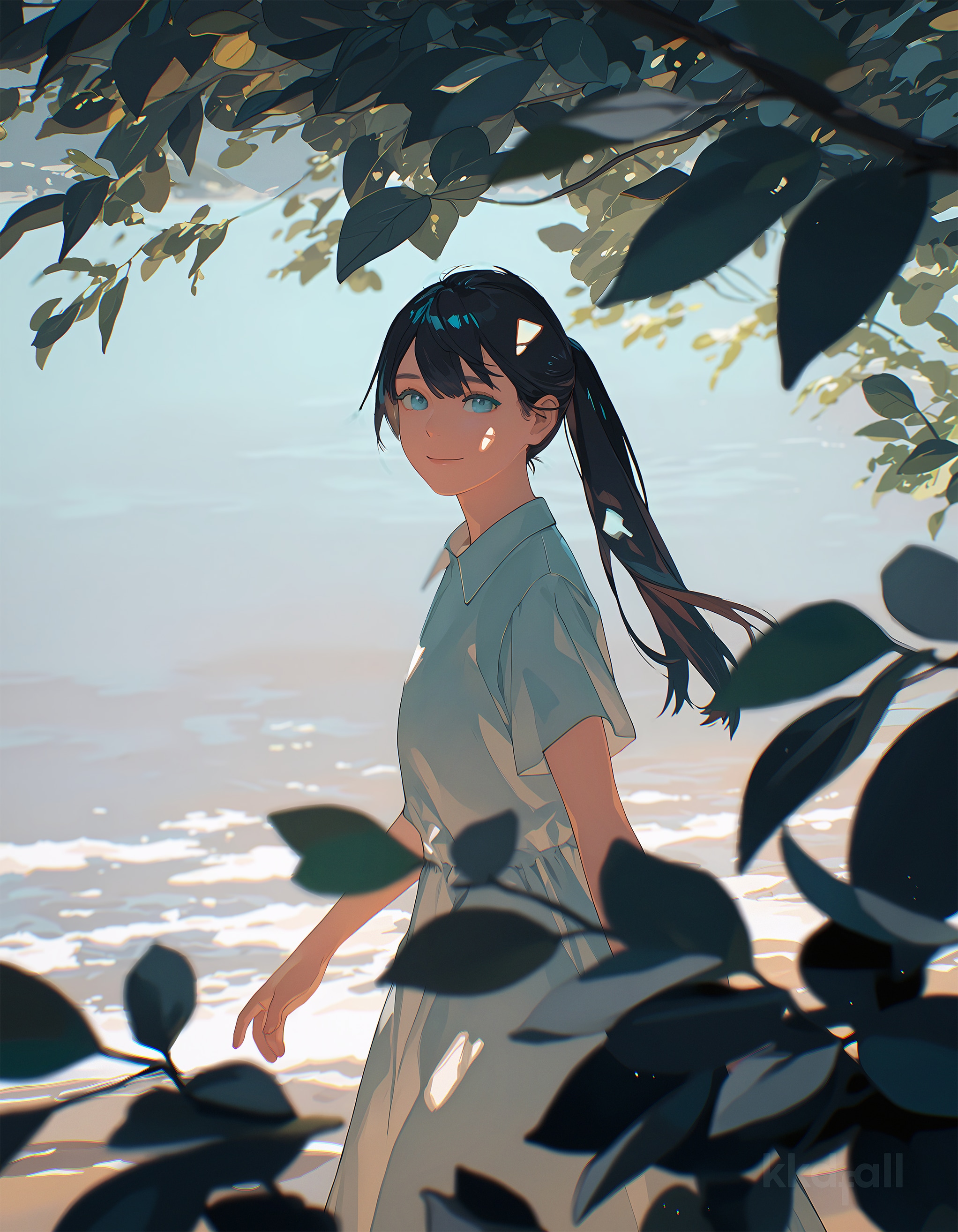Sunny