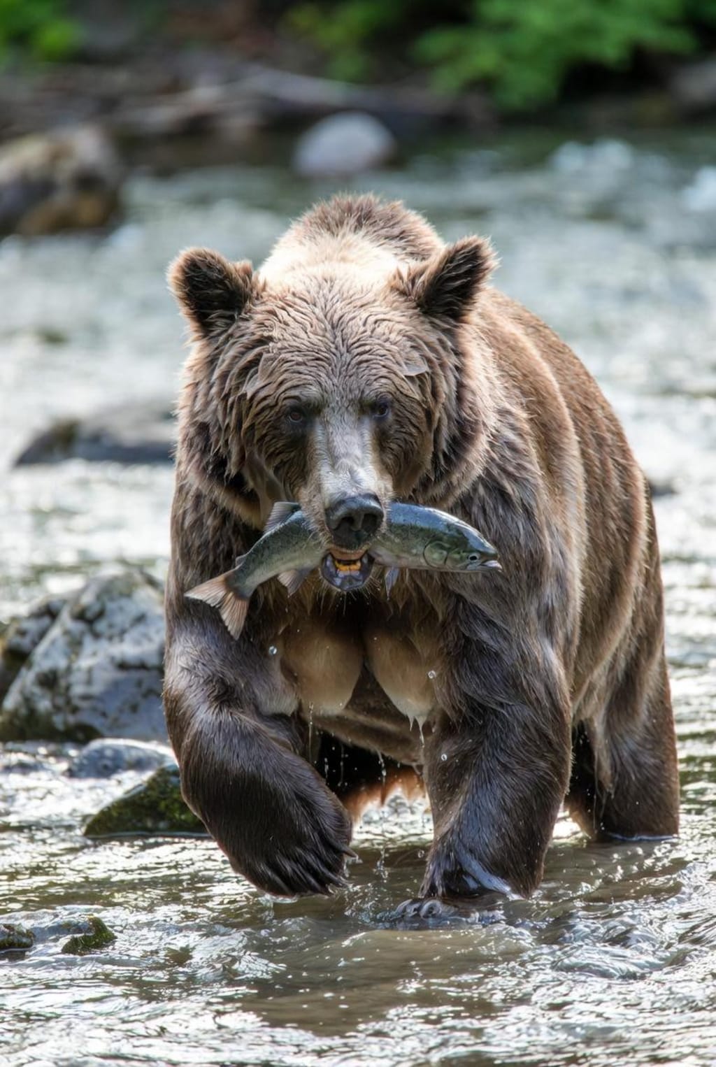 木彫りのモデル