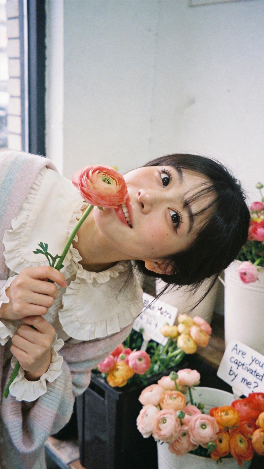 Petals of the Inner Heart