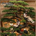 盆栽その❶ 4枚目