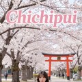 雑誌の表紙チャレンジ 2枚目