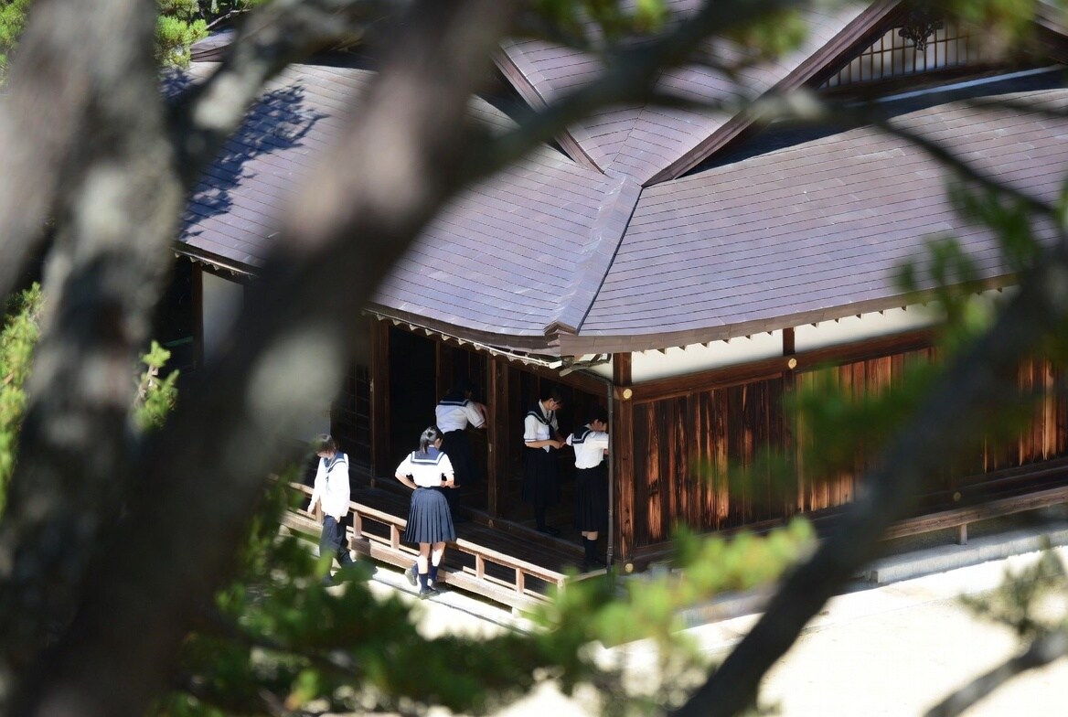 道場が見えるマンションから (1)