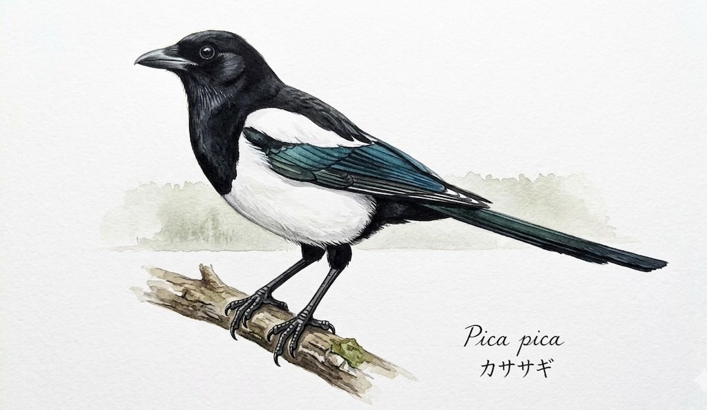 鳥(水彩画)(Gemini)(120)