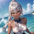 銀髪ちゃん水着詰合せ 3枚目