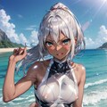 銀髪ちゃん水着詰合せ 4枚目