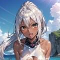 銀髪ちゃん水着詰合せ 2枚目