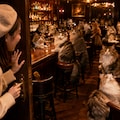 Barの中は猫だらけ 4枚目