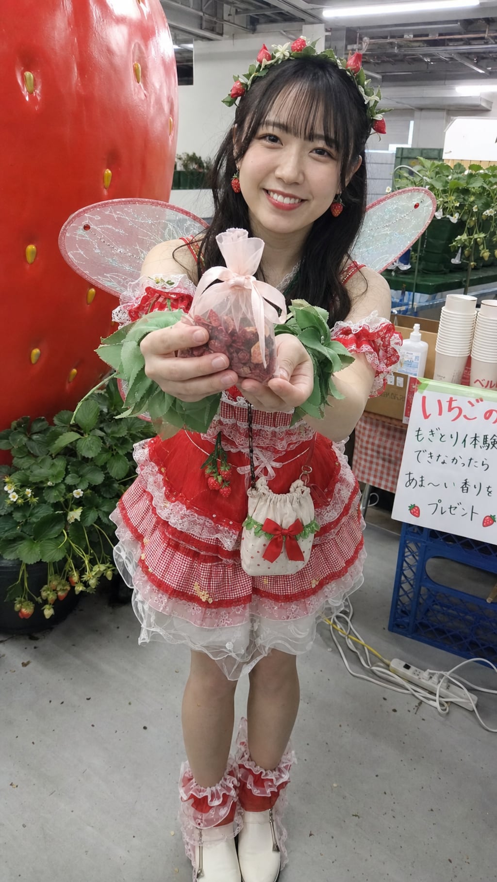 Strawberry Fairy