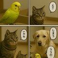 いぬとねこといんこ23 9枚目