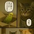 いぬとねこといんこ23 7枚目