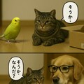 いぬとねこといんこ23 4枚目