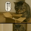 いぬとねこといんこ23 6枚目