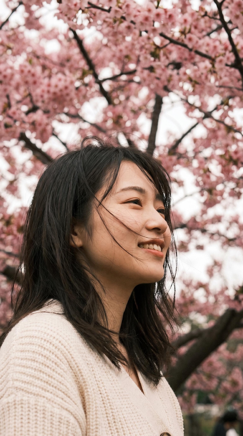 Beyond the Bloom