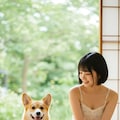 Corgi's Day Out 3枚目