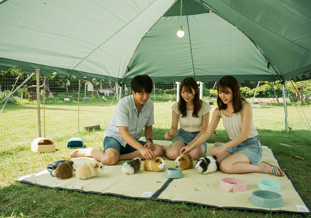 イケメンハーレムの動物園デート(後編)